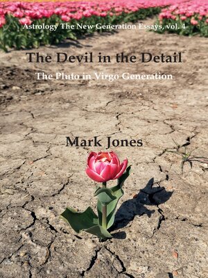cover image of The Devil in the Detail